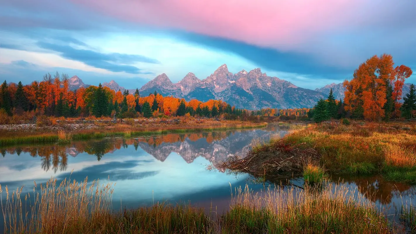 绿色独特